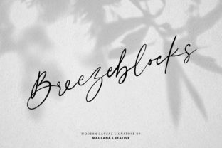 Breezeblocks: A Modern Script Font with Authentic Charm