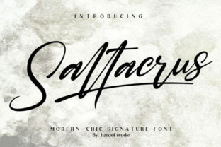 Saltacrus Font Overview and Evaluation